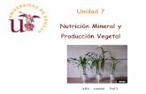 Unidad 7 Nutrición Mineral y Producción Vegetal · PDF file- Nutrientes que son elementos integrales de compuestos orgánicos, ... elementos inorgánicos y la luz del sol. ... 5.Distintos