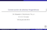 Construcción de árboles filogenéticos - tamps.cinvestav.mxertello/bioinfo/sesion13.pdf · Construcción de árboles ﬁlogenéticos Dr. Eduardo A. RODRÍGUEZ TELLO CINVESTAV-Tamaulipas