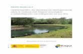 Optimización de técnicas de bioingeniería para la mejora ... rios.pdf · Actuación en el río Turia a su paso por el término municipal de Libros ... Para evaluar la mejora ambiental