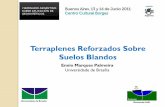 Terraplenes Reforzados Sobre Suelos Blandos - IGS · PDF file• Terraplenes sobre suelos colapsables – Empleo de geosinteticos ... Influencia de la Rigidez a la Tracción y del
