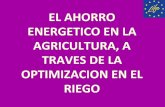 EL AHORRO ENERGETICO EN LA AGRICULTURA, A …coop2020.eu/upload/file/1era-jt-optimizacion-riego-neurona-ing... · Experiencia en cultivos como el olivo. ... Se realiza un diseño