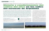 Historia y condicionantes del cultivo del olivo en los ... · PDF fileLa situación del cultivo del olivo en Argentina cambió radicalmen- ... posterior el diseño de las plantaciones