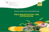 PRODUCCIÓN DE CÍTRICOS - for · PDF file3.2.Diseño y sistemas de plantación de cítricos .....17 3.3. Plantación..... 19 MÓDULO 2 MANEJO DEL HUERTO DE CÍTRICOS.....23 Unidad