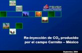 Re-inyección de CO2 producido por el campo Carmito – México · PDF fileSISTEMA DE COMPRESIÓN 24 mmpcd CO 2 41 mmpcd 18 mmpcd DE HIDROCARBUROS POZOS PRODUCTORES ... Motor : Caterpillar