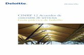 CINIIF 12 Acuerdos de concesión de servicios Guía práctica ... · PDF fileLa NIC 39 y la NIIF 9 (en caso de que se haya adoptado) ... 11 ¿Controla o regula la concedente qué servicios