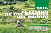 EL ESTADO DE LOS BOSQUES DEL MUNDO - fao. · PDF file2016 el estado de los bosques del mundo 2016 fao el estado de los bosques del mundo los bosques y la agricultura: desafÍos y oportunidades