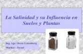 La Salinidad y su Influencia en Suelos y Plantas - ana.gob.pe · PDF file• Los suelos afectados por las sales se desarrollan ... • Los mas significativos en este aspecto son los