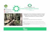 Evaluación de los itinerarios de gestión forestal ORGEST ... · PDF fileORGEST para el pino silvestre y la encina bajo ... Santiago Sabaté 1,2 ;Noemí Palero3;Teresa Cervera 3;