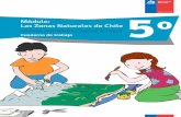 Módulo: Las Zonas Naturales de Chile 5o - · PDF fileMódulo: Las Zonas Naturales de Chile HISTORIA, GEOGRAFÍA Y CIENCIAS SOCIALES Cuaderno de trabajo NIVEL DE EDUCACIÓN BÁSICA