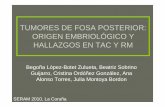 TUMORES DE FOSA POSTERIOR: ORIGEN …seram2010.seram.es/modules/posters/files/tumores_de_fosa_posterio… · • Labios rómbicos • Placa cerebelosa ... • Tumor embrionario. Célula