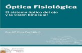 Óptica Fisiológica: el sistema óptico del ojo y la visión ...eprints.ucm.es/14823/1/Puell_Óptica_Fisiológica.pdf · ... planos y ejes de referencia, ... óptica del ojo humano