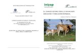 EL GANADO BOVINO CRIOLLO EN NAYARIT: · PDF fileBovinos productores de leche ... Ixcuintla, Nayarit, se adquirió un hato de ganado Criollo en 1982. En 1990 se inició un cruzamiento