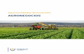 Oportunidades de inversión  · PDF fileSector Agronegocios 4 info@uruguayxxi.gub.uy |   | @UruguayXXI En este sentido, de acuerdo a estimaciones de Red Mercosur-FAO, el
