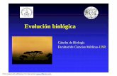 Evolución biológica - UNR · PDF fileEvolución biológica Cátedra de Biología Facultad de Ciencias Médicas-UNR PDF created with pdfFactory Pro trial version