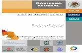 Guía de Práctica Clínica - · PDF file3 Diagnóstico y Tratamiento de Miomatosis Uterina D25.X Leiomioma del Útero Guía de Práctica Clínica Diagnóstico y Tratamiento de Miomatosis
