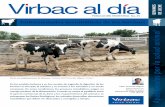 Enfermedades metabólicas de los bovinos - · PDF filePUBLICACIÓN TRIMESTRAL No. 25 Enfermedades metabólicas de los bovinos MVZ. Fernando Iñiguez Asesor técnico en Bovinos de Leche