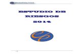 ESTUDIO DE RIESGOS 2014 - · PDF filematriz de Identificación de Peligros, Evaluación de Riesgos y Determinación de Controles. Cuadro Nº 02. Evaluación del Nivel de Severidad