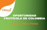 OPORTUNIDAD FRUTÍCOLA DE COLOMBIA - · PDF fileContenido Oportunidades para Colombia en tres frutas •Piña •Mango •Fresa Papel de la Agroindustria en el desarrollo de los mercados