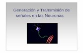 Generación y Transmisión de señales en las Neuronas - UdC 2.pdf · Generación y Transmisión de señales en las Neuronas Pág. 2 Los detalle de la transmisión sináptica (comunicación