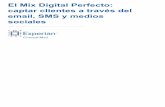 El Mix Digital Perfecto: captar clientes a través del ... · PDF filedescribe los tipos de mensajes que son ... los mensajes resultan muy inoportunos ... conservar o reactivar a los