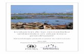 Evaluacion de las necesidades ambientales en situaciones ... · PDF fileAnexo I Borrador del Formato para el Reporte de ENA ... importancia especial para investigación y estudio científico;