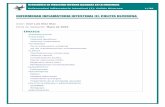 Enfermedad inflamatoria instestinal (I): Colitis Ulcerosameiga.info/mbe/colitisulcerosa.pdf · REVISIONES EN MEDICINA INTERNA BASADAS EN LA EVIDENCIA Enfermedad inflamatoria intestinal