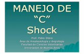 El Shock hipovolémico - fcv.unl.edu.ar · PDF fileEl Shock hipovolémico es el fallo en la perfusión y aporte de oxígeno tisular resultante de la reducción del volumen intravascular.