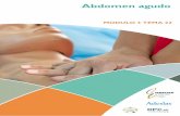 Abdomen agudo - Curso Urgencias para Médicos de APurgenciasadultos.dpcsemergen.com/Ftalleres/2_23_1.pdf · el elevado número de causas que pueden ... amenorrea y metrorragia, ...