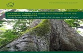 El FSC : Cada vez más importante para los bosques tropicales · PDF filedel manejo forestal y de las empresas que trabajan con ... impidan la conversión de bosques naturales y eviten