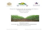 Cultivo de la Papaya Carica papaya - cenida.una.edu.nicenida.una.edu.ni/relectronicos/RENF01C965c.pdf · Potencial de Pérdidas Post-cosecha ... ya que la cosecha puede involucrar