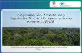Programa de Monitoreo y Seguimiento a los Bosques y áreas ... · PDF filede la información científica y técnica sobre los ecosistemas que ... Construcción de niveles de referencia