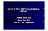 NUTRICION Y FERTILIZACION DEL FERTILIZACION  · PDF fileNUTRICION Y FERTILIZACION DEL FERTILIZACION NOGAL Rafael Ruiz Sch. Ing. Agr. Dr. INIA - CRI La Platina