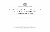 ACTIVIDAD BIOLÓGICA DE LA FAMILIA · PDF file6 Resumen En el presente trabajo se realizó una revisión bibliográfica de la actividad biológica de la familia Lauraceae desde el