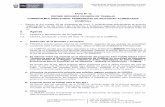 PERÚ Ministerio de Salud - · PDF fileMinisterio de Salud "Decenio de las Personas con Discapacidad en el Perú" ... La COMPIAL acordó que se diera respuesta al Oficio N°980-2010-MIMDES