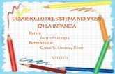 DESARROLLO DEL SISTEMA NERVIOSO EN LA INFANCIAs0db6698fe2d4c4ce.jimcontent.com/download/version/1346869683/mo… · células de la corteza cerebral aumentan conforme el niño ...