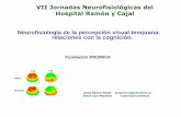 VII Jornadas Neurofisiológicas del Hospital Ramón y Cajal ... · PDF file• Cuanto menor es el CI la onda P100 está disminuida en su amplitud y ... parálisis cerebral. Neurofisiología