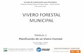 VIVERO FORESTAL MUNICIPAL - maa.gba.gov.ar · PDF file¿Qué objetivos tiene un vivero forestal? Producir plantas para arbolado urbano y periurbano para cumplir con Plan Regulador