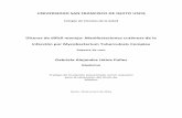 Úlceras de difícil manejo: Manifestaciones cutáneas de la ...repositorio.usfq.edu.ec/bitstream/23000/5851/1/123103.pdf · diagnóstico y tratamiento antituberculoso de la enfermedad