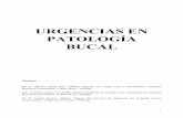 URGENCIAS EN PATOLOGÍA BUCAL - de urgencias y... · PDF file2 Dentro de la vasta extensión que supone el capitulo de la patología bucal tanto en la especialidad como en la urgencia,