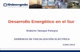 Desarrollo Energético en el Sur - · PDF file2014 Ampliación Cuajone Moquegua 46 2015 Ampliación Toquepala ... Tres postores precalificaron para participar en el concurso de concesión