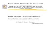 Universidad Autónoma de Zacatecas - uaz.edu.mx · PDF fileLactante menor 1 mes - 1 año. Lactante ... C*).-Lactante menor 1 mes-1 año C).-Infancia: 1 mes -2 años. Periodos y Etapas