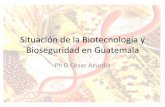 Situación de la Biotecnología y Bioseguridad en · PDF fileSalud, Ministerio de Salud Pública y Asistencia Social LNS - MSPAS Gubernamental 17 ... •La ley se genero con apoyo