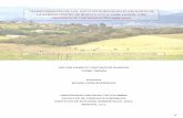 TRANSFORMACIÓN DE LOS ESPACIOS RURALES EN …core.ac.uk/download/pdf/11056610.pdf · ANEXO 1: Cuadro comparativo entre la Economía Ecológica y la Economía Ambiental ... Evolución