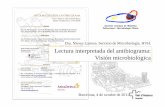 Dra. Nieves Larrosa. Servicio de Microbiología. HVH ... · PDF fileSocietat Catalana de Malalties Infeccioses i Microbiologia Clínica Lectura interpretada del antibiograma: Visión