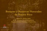 Bosques y Reservas Naturales de Puerto Rico - CITAcita.eap.edu/moodle/pluginfile.php/1839/mod_resource/content/1/Ser... · de Puerto Rico Susana M. Rivera Colón El ser humano y su