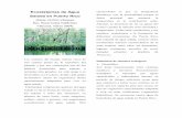 Ecosistemas de Agua Salada en Puerto Rico - …academic.uprm.edu/gonzalezc/HTMLobj-775/... · Puerto Rico, los cambios de mareas ... dragados deforestación, uso de abonos o plaguicidas.