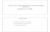 Tema 10. Regulación de la expresión génicadarwin.uvigo.es/docencia/2005/genccmar05/tema_10_CCMM.pdf · 2 Regulación de la expresión génica en procariotas • Una propiedad fundamental