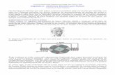Capítulo 2: Sistemas Movidos por Pulsosfree-energy-info.com/Chapter2SA.pdf · El Motor/Generador de Robert Adams ... eléctricos usando imanes permanentes en el rotor y electroimanes
