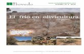 Boletín : Nº 9 –2010 Frio en olivicultura (I... · La propiedad intelectual de esté artículo pertenece a VIVEROS PROVEDO, S.A.‐ Bº DE VAREA, 26006, LOGROÑO, LA RIOJA. TFNO.