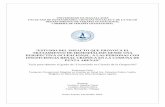 UNIVERSIDAD DE MAGALLANES FACULTAD DE  · PDF fileperspectiva ocupacional, a las personas con insuficiencia renal crÓnica en la comuna de punta arenas